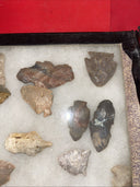 Native American Artifacts Lot 24 w/ Frame Arrowheads Collection 12”x8” Frame #4