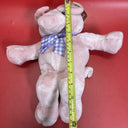 Seated 13" Squeeze to Oink Pig Named Charlotte Bean Bottom Plush Stuffed Toy