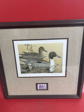 1984 Larry Hayden Arkansas Duck Print