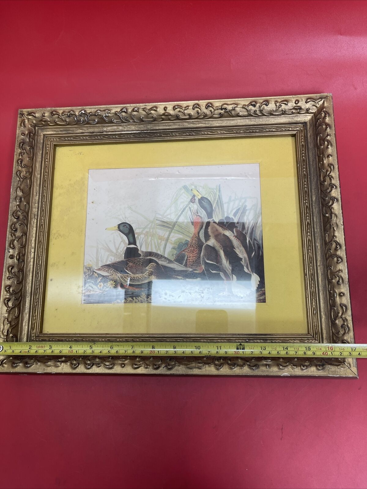 Mallard by John James Audubon New York Historical Society Art Print