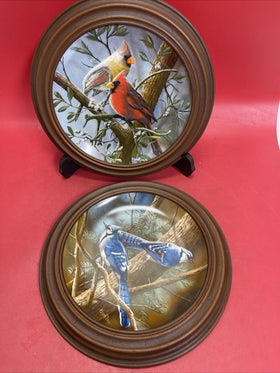 VTG The Blue Jay & The Cardinal By Kevin Daniel Birds Collectors Plates Lot 2