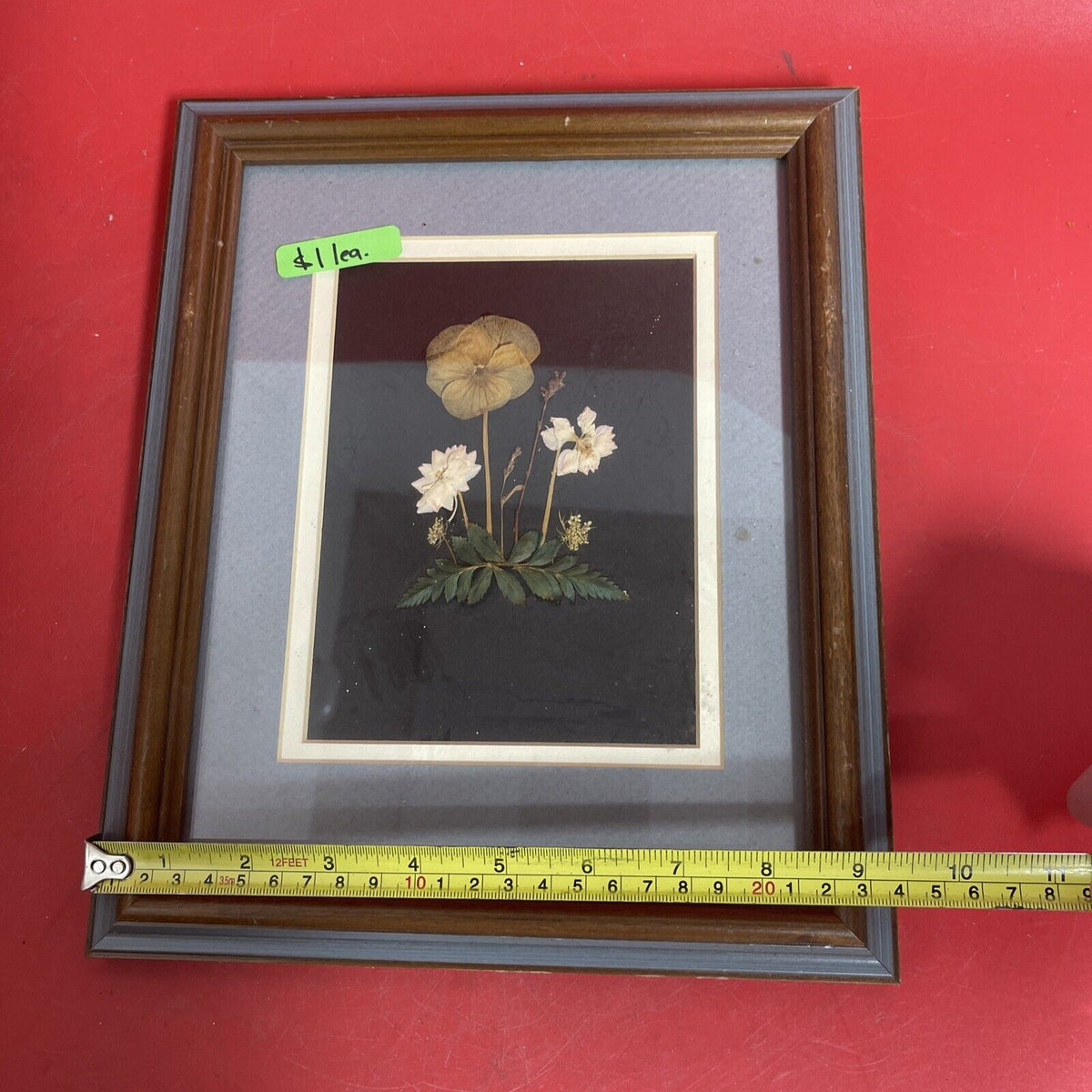 vintage framed art signed rocky mountain wildflowers dried botanical lot 3