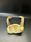 Cabin Decor Deer Antlers
