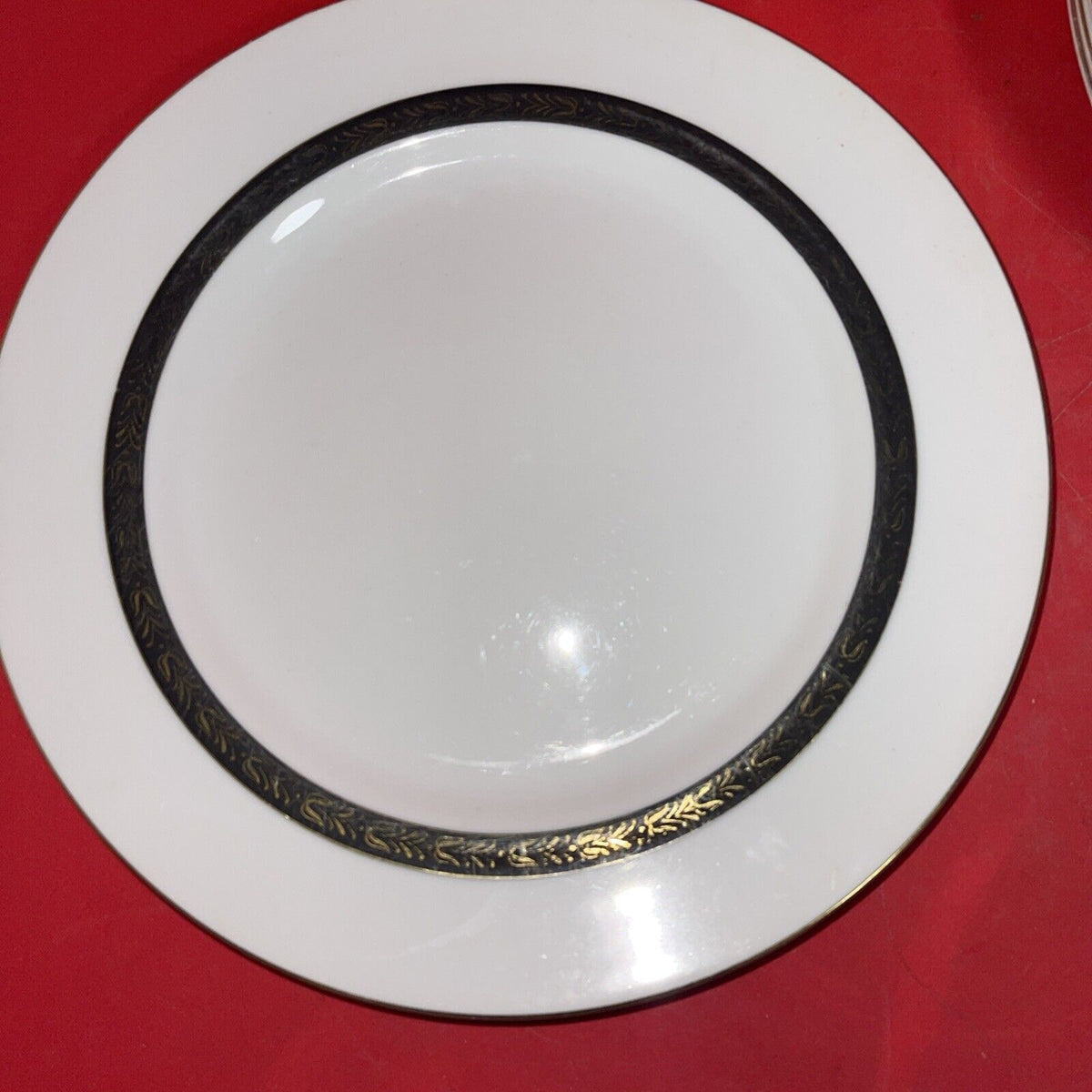 Mikasa Fine China Narumi Plaza 5353 Diner Plate 10.5” Lot 8