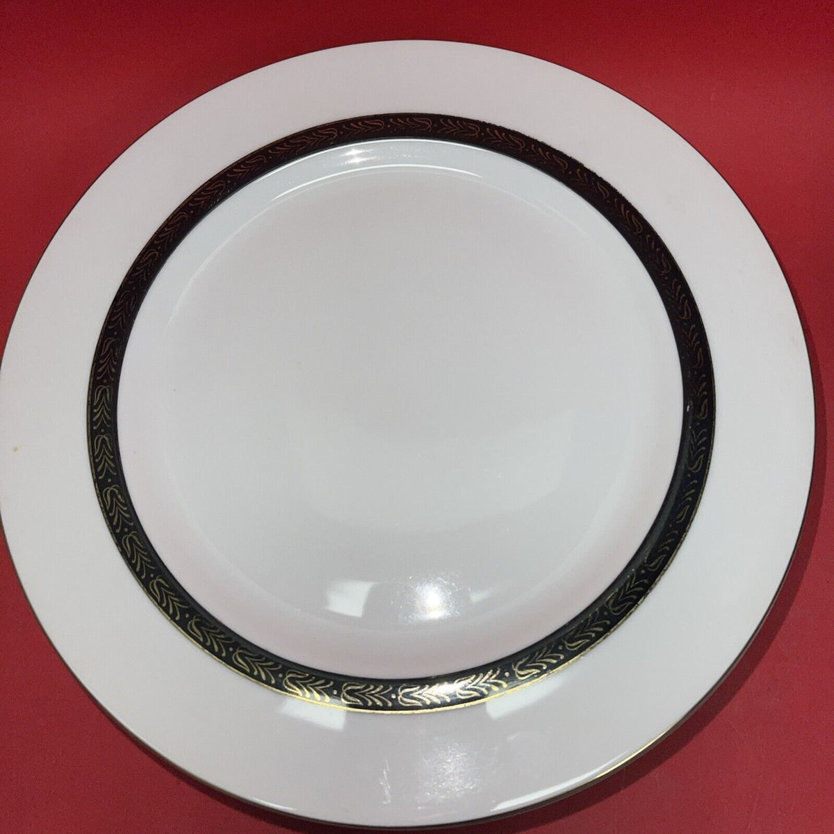 Mikasa Fine China Narumi Plaza 5353 Diner Plate 10.5” Lot 8