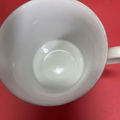 American Limoges Royal Bouquet Fine Porcelain Single Tea Cup Set 11