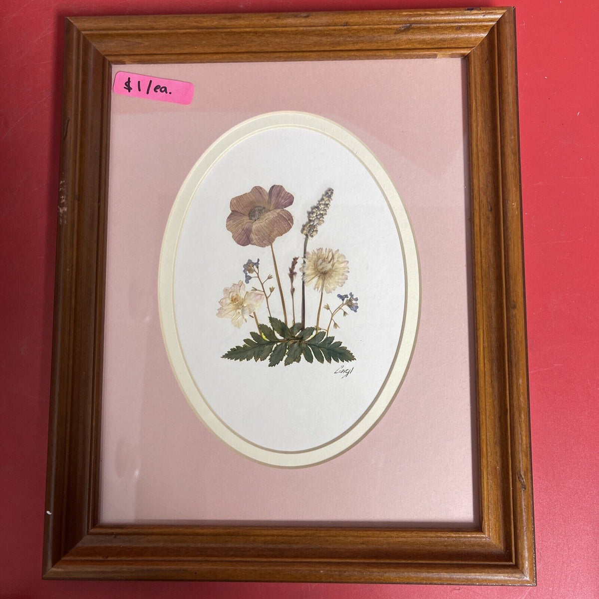 vintage framed art signed rocky mountain wildflowers dried botanical lot 3