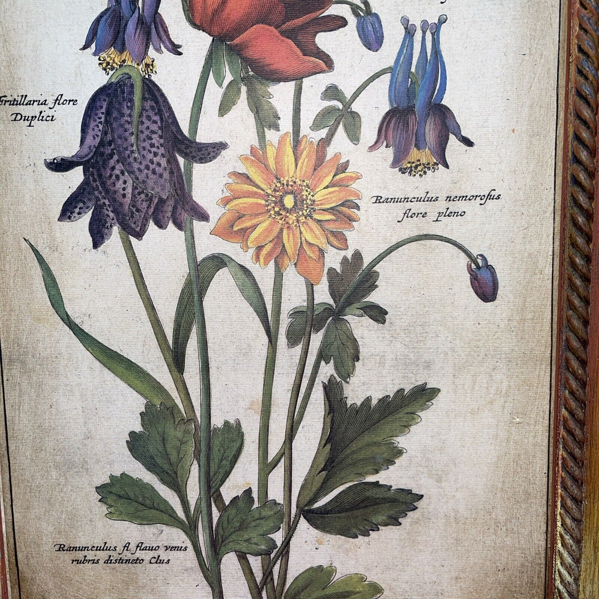 DANACO Floral Art Piece Handfinished By Florentine Artisan Italy Print 17”x14”