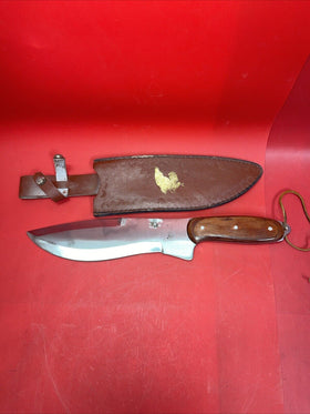 Used Collector Fantasy Fixed Blade Bowie Survival Knife