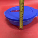 Tupperware Pretty in Plaid Big Wonders New Lunchbox 3 Containers