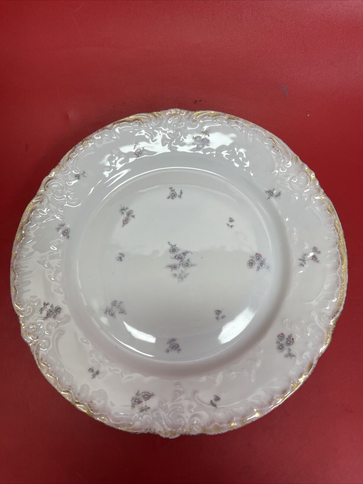 VICTORIA CARLSBAD  Plates - Flowers, AUSTRIA - 8-1/2" Diameters Lot 5