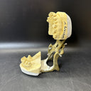 Full Mouth Teeth Mold Metal Jaw Dentures Impressions Oddity Macabre Halloween/#1