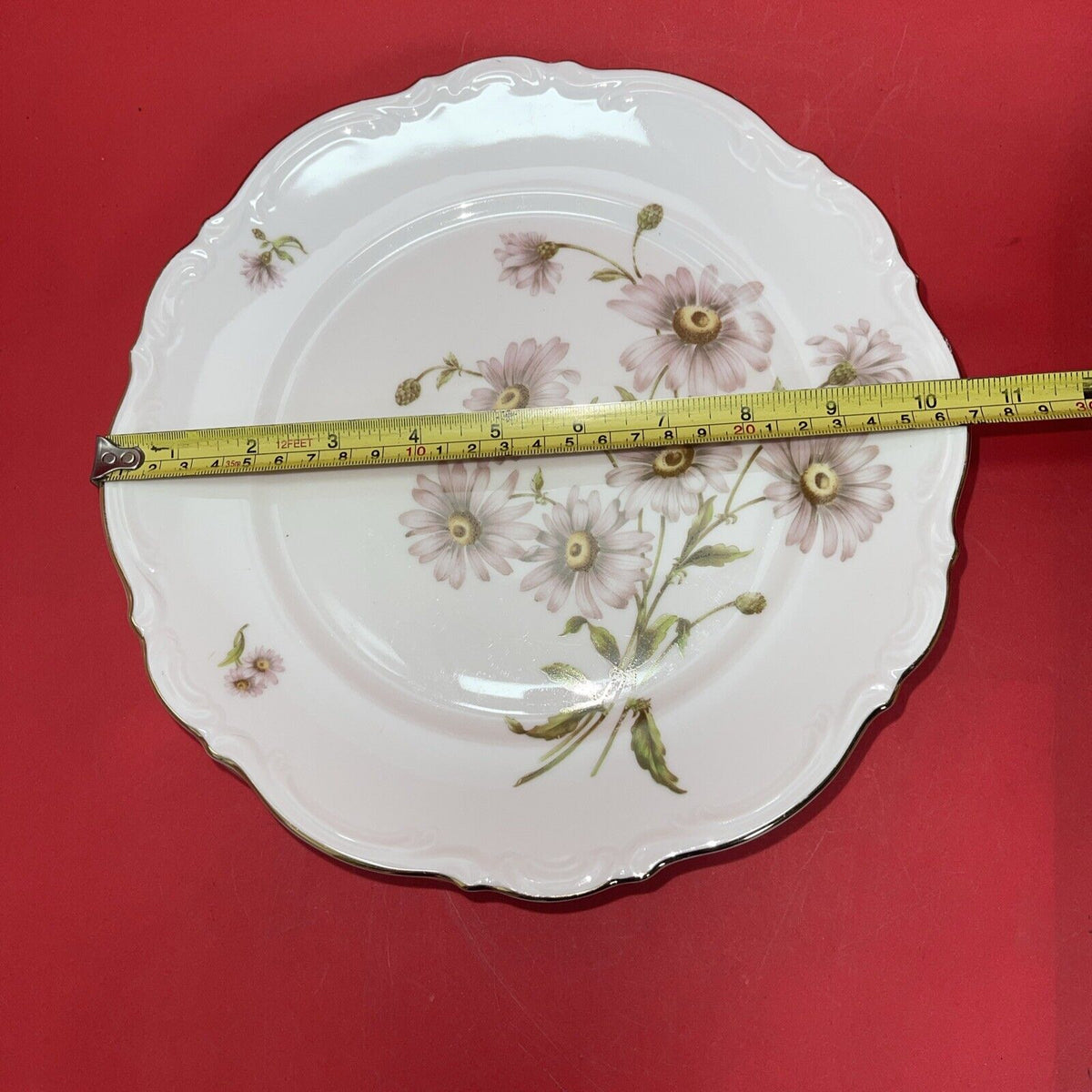 8 Mitterteich Daisy Bell 10 1/2" Dinner Plates