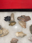 Native American Artifacts Lot 24 w/ Frame Arrowheads Collection 12”x8” Frame #4
