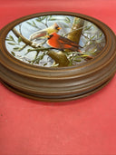 VTG The Blue Jay & The Cardinal By Kevin Daniel Birds Collectors Plates Lot 2