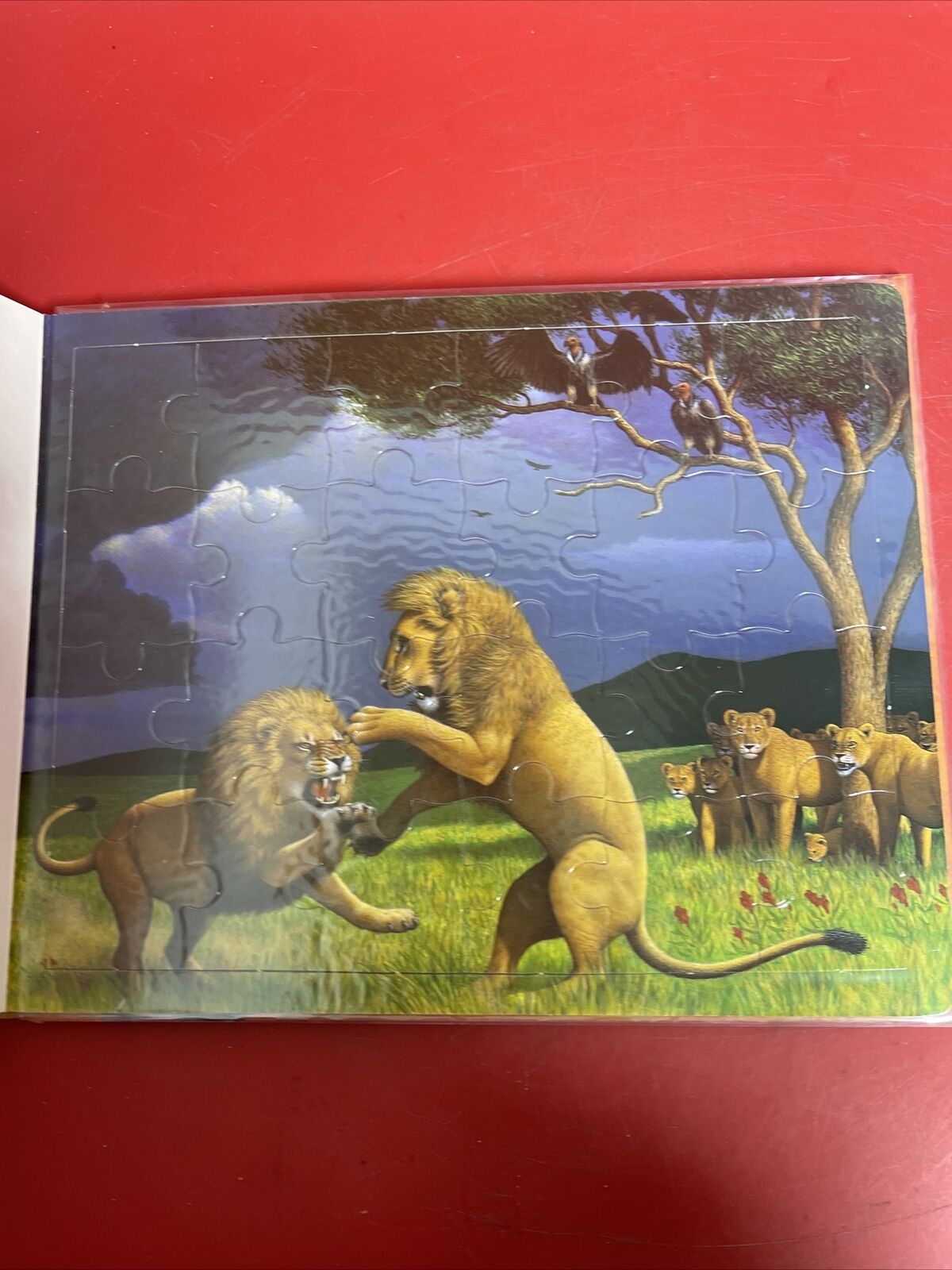 Puzzle Book.Lot-4 Dinosaurs,Safari,Mini Beasts,Okean