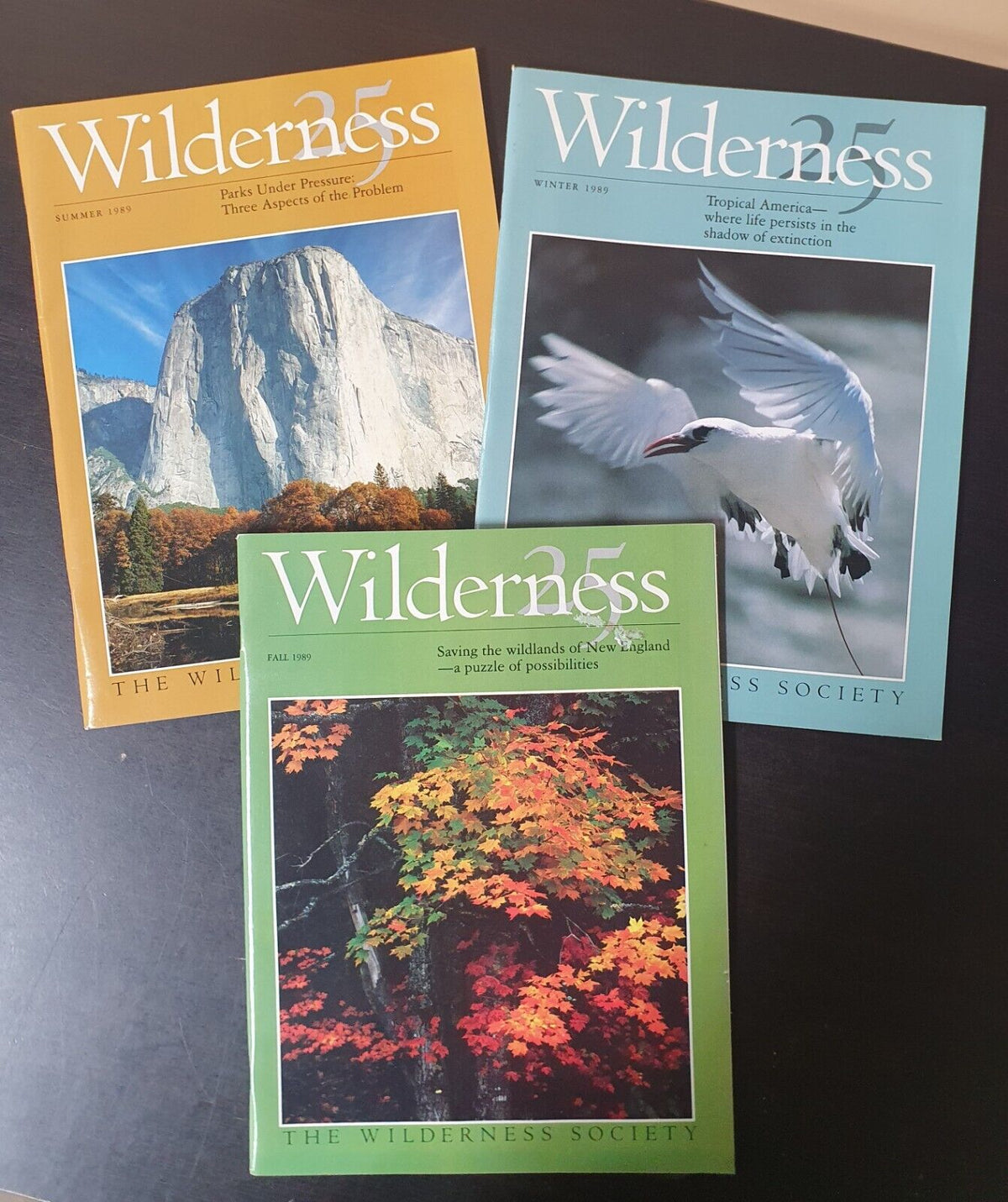 Wilderness/ Magazines Lot Of 10 (1983, 1989-1991)