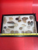 Native American Artifacts Lot 24 w/ Frame Arrowheads Collection 12”x8” Frame #4