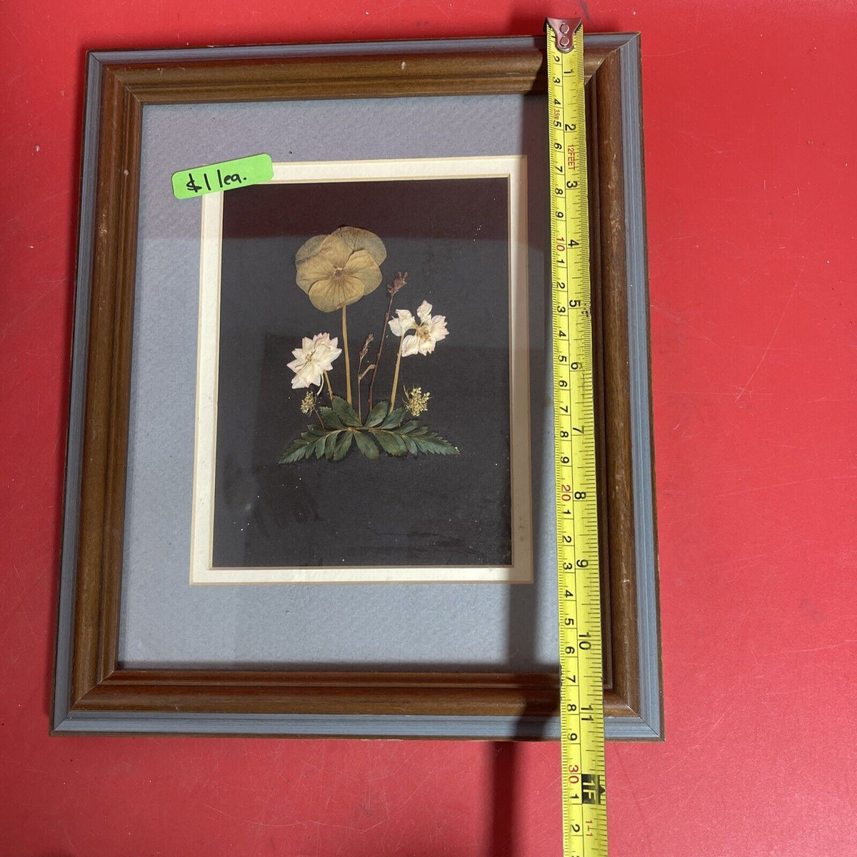 vintage framed art signed rocky mountain wildflowers dried botanical lot 3