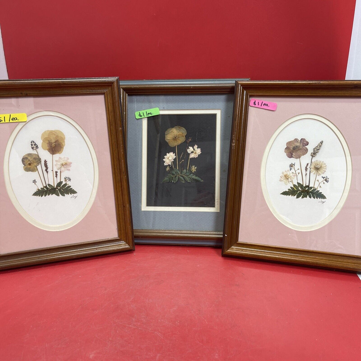 vintage framed art signed rocky mountain wildflowers dried botanical lot 3