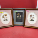 vintage framed art signed rocky mountain wildflowers dried botanical lot 3