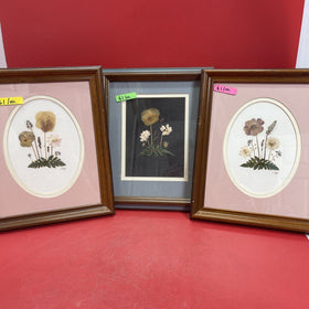 vintage framed art signed rocky mountain wildflowers dried botanical lot 3