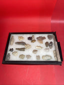 Native American Artifacts Lot 24 w/ Frame Arrowheads Collection 12”x8” Frame #4
