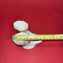 Lenox Cornucopia Small Horn of Plenty 24 Gold, 2 1/2" High, 4" Long Set