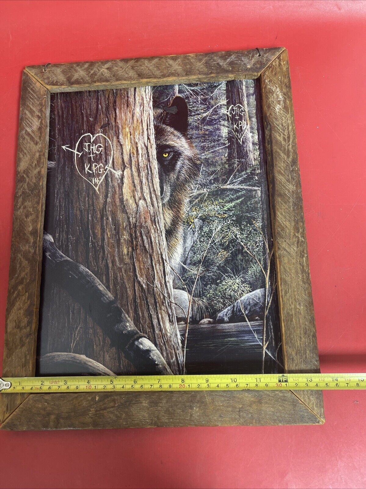 Lone Wolf framed picture art Kevin Daniel