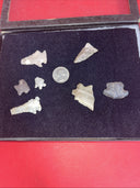 Native American Artifacts Lot 7 w/ Frame Arrowheads Collection 9”x7”Frame #20