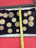 Indian Artifacts Lot of 17  Discoidals Game Stones