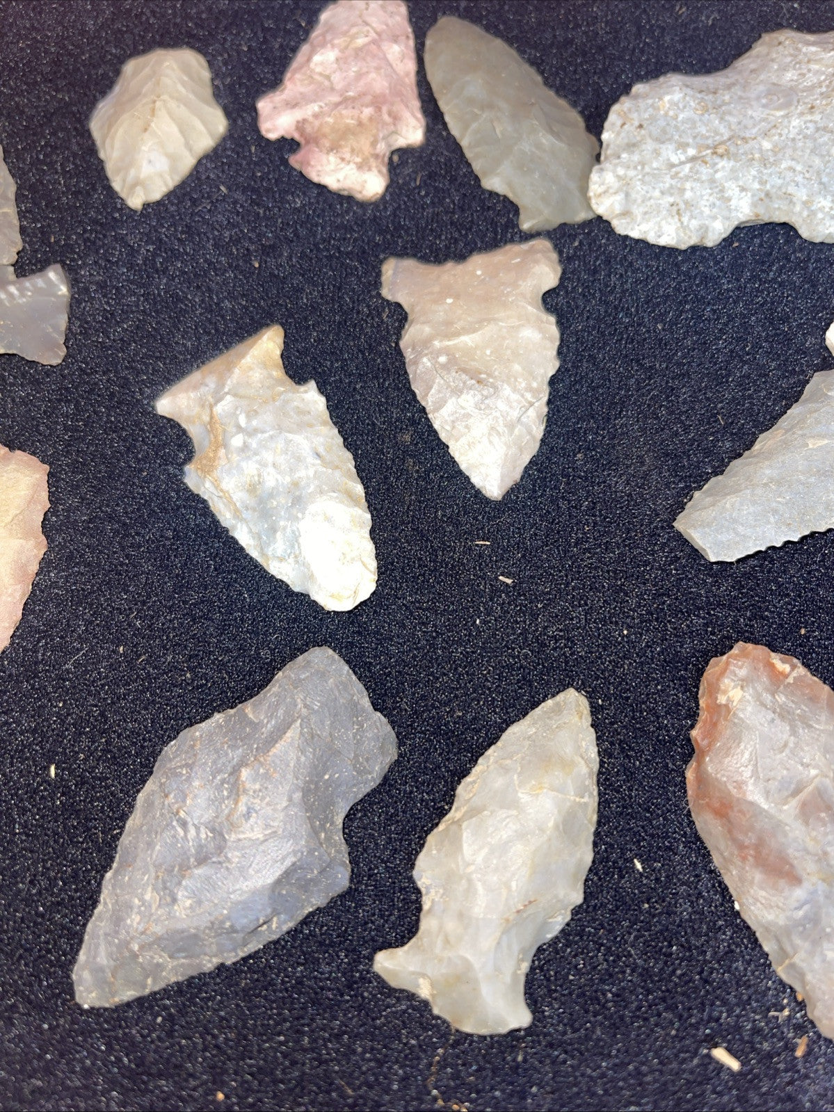 Native American Artifacts Lot 24 w/ Frame Arrowheads Collection 12”x8” Frame #11