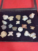 Native American Artifacts Lot 18 w/ Frame Arrowheads Collection 9”x7” Frame #25