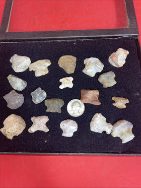 Native American Artifacts Lot 18 w/ Frame Arrowheads Collection 9”x7” Frame #25