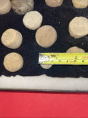 Indian Artifacts Lot of 17  Discoidals Game Stones