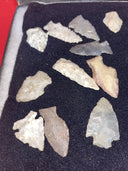 Native American Artifacts Lot 24 w/ Frame Arrowheads Collection 12”x8” Frame #11