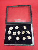 LOT OF 12 DEER ANTLER HORN BUTTONS REPLACEMENT