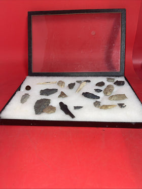 Native American Artifacts Lot 24 w/ Frame Arrowheads Collection 12”x8” Frame #13