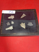 Native American Artifacts Lot 7 w/ Frame Arrowheads Collection 9”x7”Frame #20