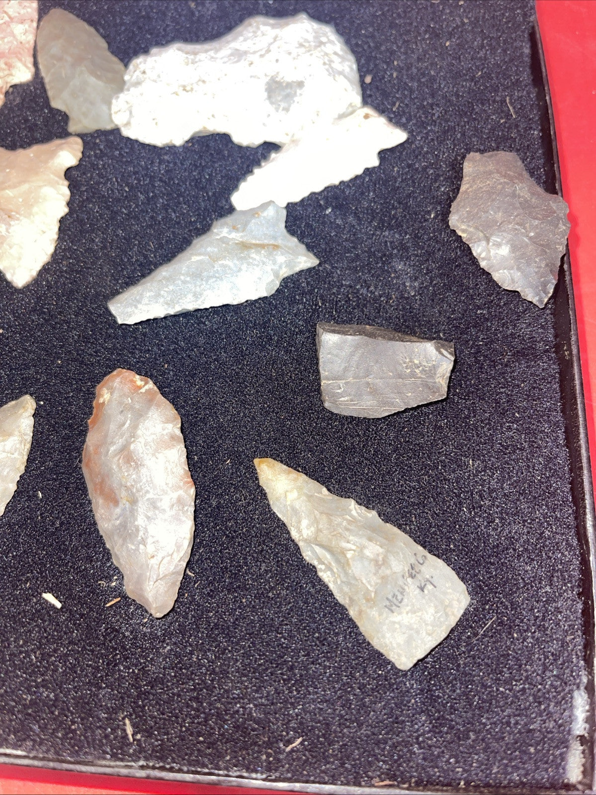 Native American Artifacts Lot 24 w/ Frame Arrowheads Collection 12”x8” Frame #11