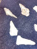 Native American Artifacts Arrowheads Lot 9 Points w/ 9”x7” Frame. #19