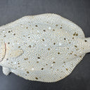 Ceramic Fish Wall Hanging 10”x5.5” House Decor
