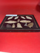Lot of 12 Native American Indian Arrowhead Artifacts & Display Box 9”x7”. #18
