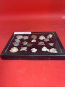 Native American Artifacts Lot 18 w/ Frame Arrowheads Collection 9”x7” Frame #25