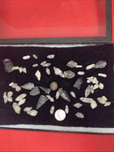 Native American Artifacts Lot / Frame Arrowheads Collection 12”x8” Frame #10