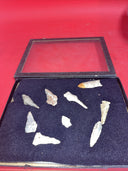 Native American Artifacts Arrowheads Lot 9 Points w/ 9”x7” Frame. #19