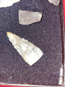 Native American Artifacts Lot 24 w/ Frame Arrowheads Collection 12”x8” Frame #11