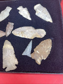 Lot of 12 Native American Indian Arrowhead Artifacts & Display Box 9”x7”. #18