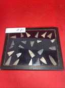 Native American Artifacts Lot 24 w/ Frame Arrowheads Collection 9”x7” Frame #21
