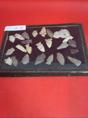 Native American Artifacts Lot 24 w/ Frame Arrowheads Collection 12”x8” Frame #11